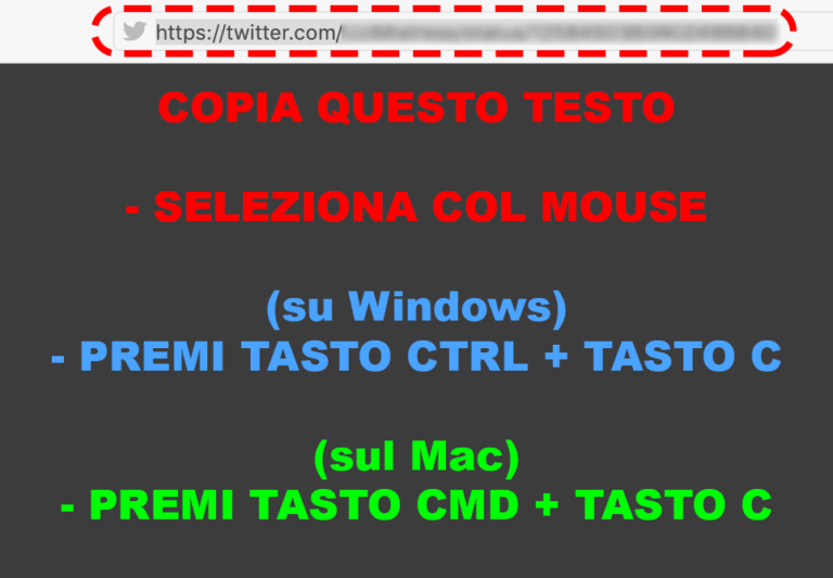 Siti per scaricare video da Twitter socialfacile.it